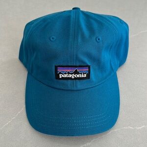 Patagonia Dad Hat